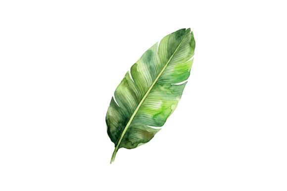 Elevating Handmade Brands with Premium Green Leaf Png Cut File Png Clipart