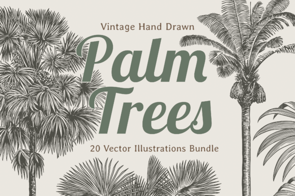 Integrating Vintage Botanical Aesthetics with Modern Design: An Evaluation of the Palm Tree Illustration Bundle